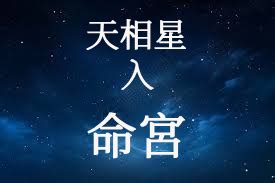 紫微天相命宮|天相星入命宮